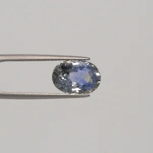Pitambari Sapphire - 3124