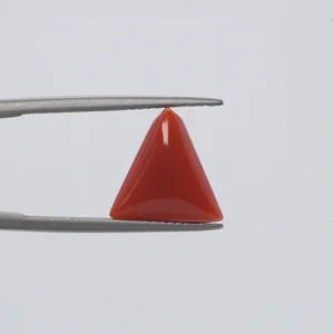 Natural Red Coral - 4.57ct