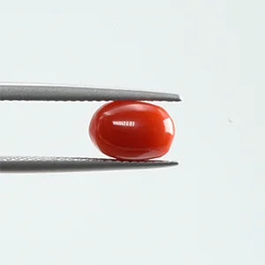 Natural Red Coral - 1.86ct