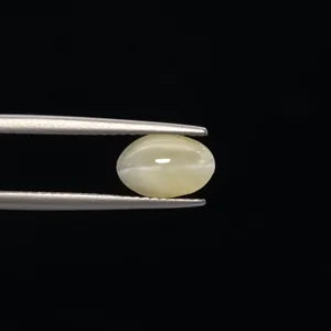 Natural Cats Eye - 2.71ct
