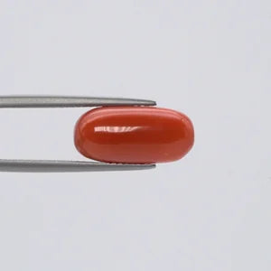 Natural Red Coral - 6.98ct