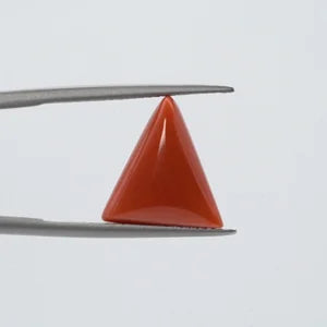 Natural Red Coral - 6.76ct