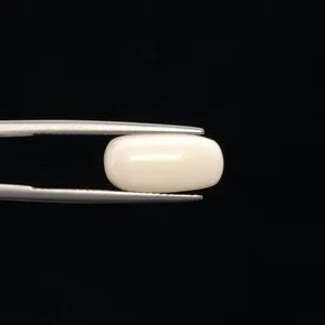 Natural White Coral - 5.38ct