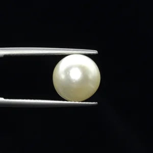Pearl - 2733