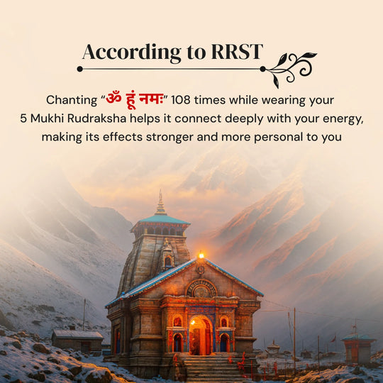 5 Mukhi Rudraksha