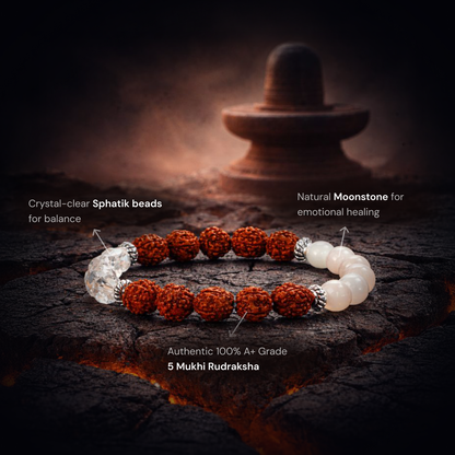 Shiv Ganga Authentic 5 Mukhi Rudraksha Moonstone Sphatik Bracelet - Gemsinvite  