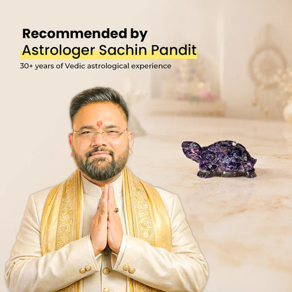Amethyst Tortoise (Kachhua)