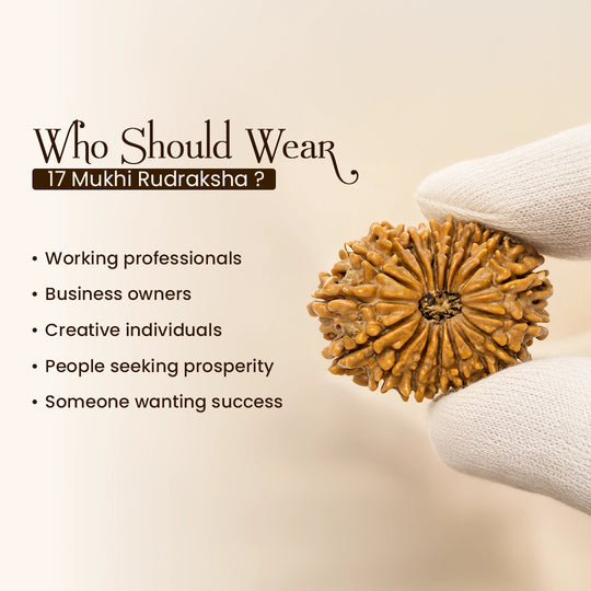 17 Mukhi Nepali Rudraksha