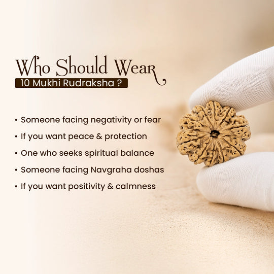 10 Mukhi Nepali Rudraksha