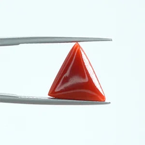 Natural Red Coral - 5.32ct