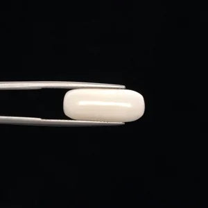 Natural White Coral - 7.98ct