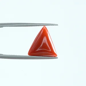 Natural Red Coral - 4.02ct