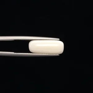 Natural White Coral - 5.75ct