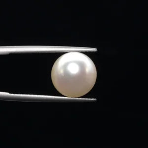 Pearl - 3604
