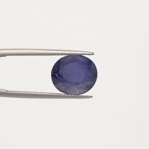 Iolite - 2924