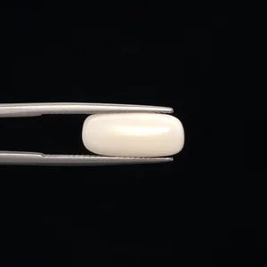 White Coral - 3271