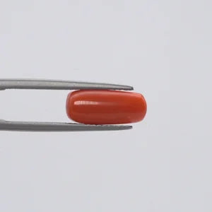 Natural Red Coral - 3.31ct