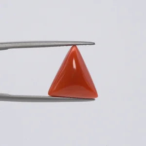 Natural Red Coral - 5.48ct