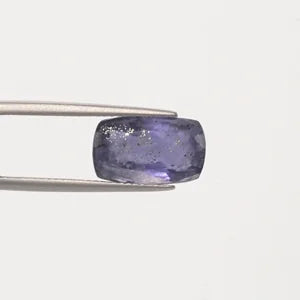 Iolite - 2890