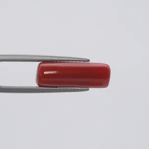 Natural Red Coral - 6.07ct