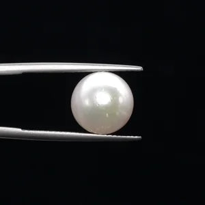Pearl - 3616