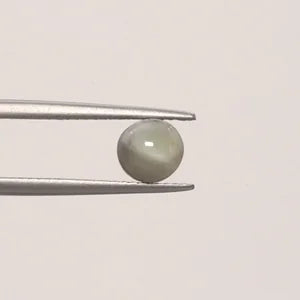 Natural Cats Eye - 1.82ct