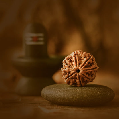7 Mukhi Rudraksha in silver locket with Free 5 Mukhi Rudraksha (2 Pieces) – Divine Protection Combo