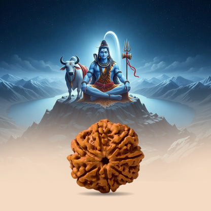 7 Mukhi Rudraksha in silver locket with Free 5 Mukhi Rudraksha (2 Pieces) – Divine Protection Combo