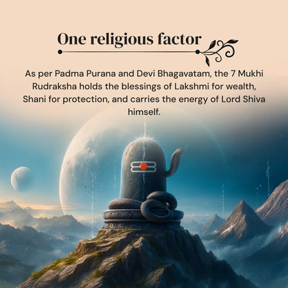7 Mukhi Rudraksha in silver locket with Free 5 Mukhi Rudraksha (2 Pieces) – Divine Protection Combo