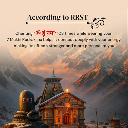 7 Mukhi Rudraksha in silver locket with Free 5 Mukhi Rudraksha (2 Pieces) – Divine Protection Combo