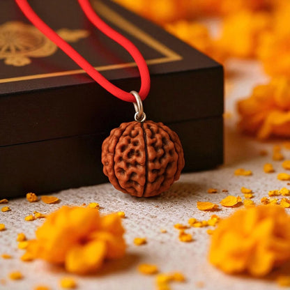7 Mukhi Rudraksha in silver locket with Free 5 Mukhi Rudraksha (2 Pieces) – Divine Protection Combo