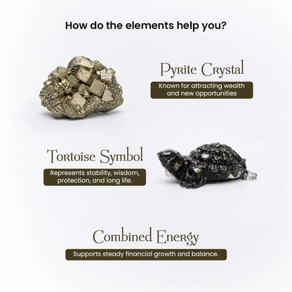 Pyrite Tortoise (Kachhua)