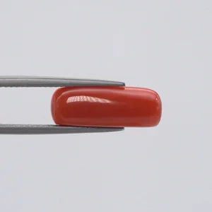 Natural Red Coral - 6.78ct