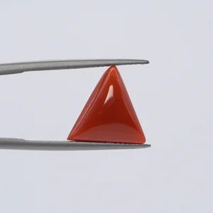 Natural Red Coral - 5.36ct