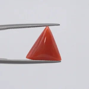 Natural Red Coral - 6.01ct