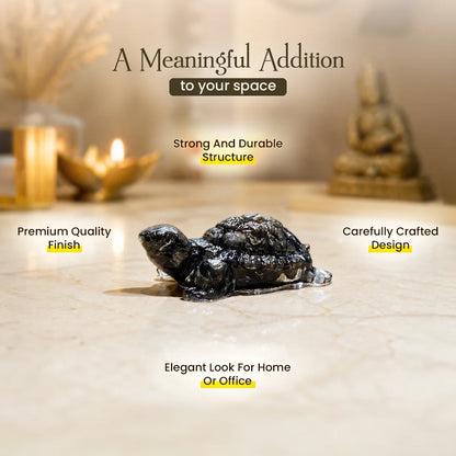Pyrite Tortoise (Kachhua)