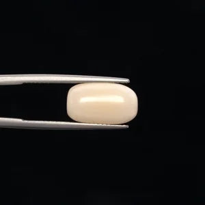 Natural White Coral - 6.03ct