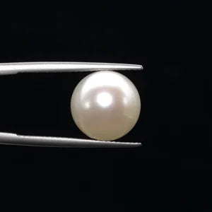 Pearl - 3583