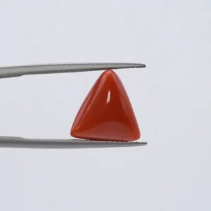 Natural Red Coral - 6.56ct
