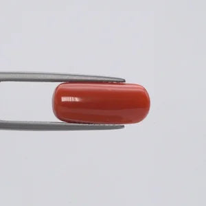 Natural Red Coral - 6.41ct