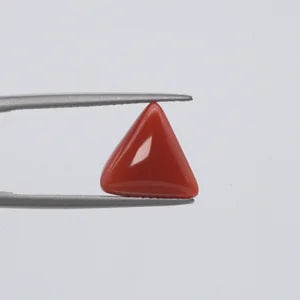 Natural Red Coral - 4.49ct