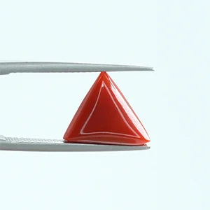 Natural Red Coral - 3.80ct