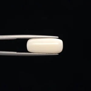 White Coral - 3272