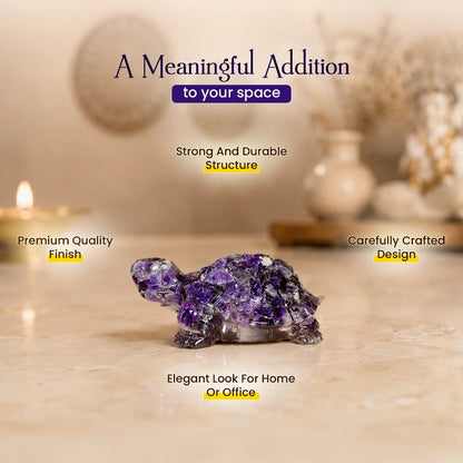 Amethyst Tortoise (Kachhua)