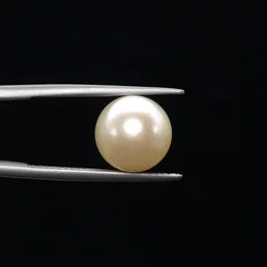 Pearl - 3619