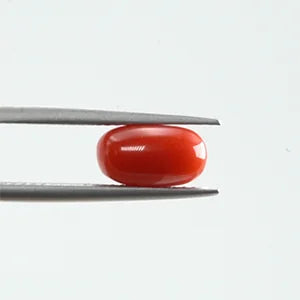 Natural Red Coral - 2.00ct