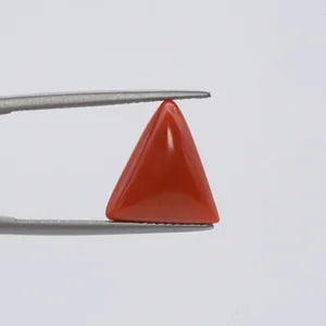 Natural Red Coral - 5.53ct