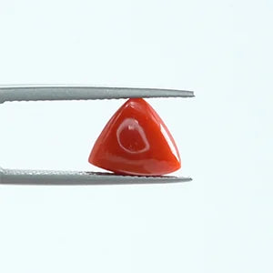 Natural Red Coral - 3.03ct