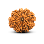 9 Mukhi