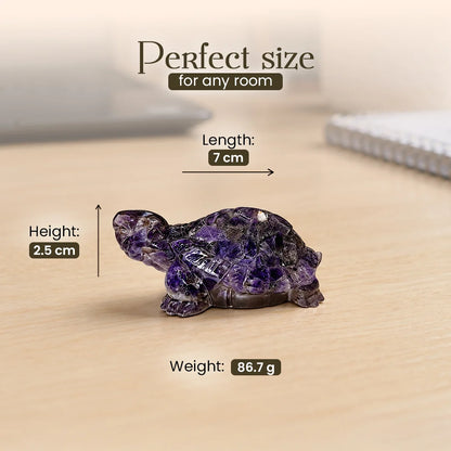 Amethyst Tortoise (Kachhua)